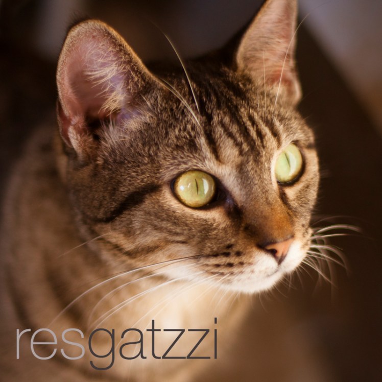 resgatzzi1